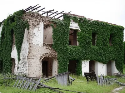 Illustration wasting - Image 1