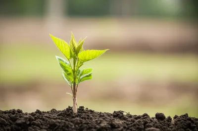 Illustration founder - Image 1