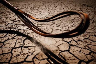 Illustration lashes - Image 1