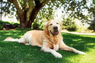 Illustration relaxed - Image 1