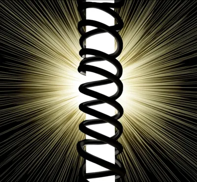 Illustration stay - Image 1