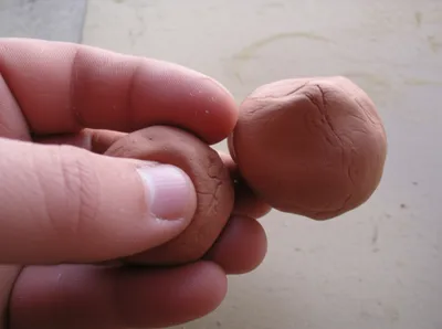 Illustration twinning - Image 1