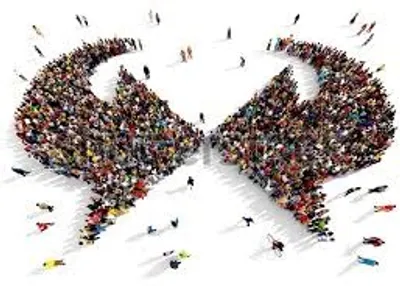 Illustration polarization - Image 4