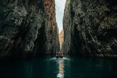 Illustration narrows - Image 1