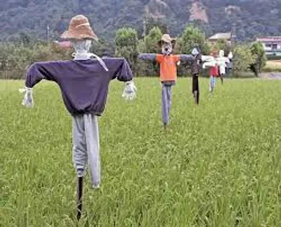 Illustration scarecrow - Image 2