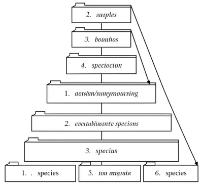 Illustration key - Image 1
