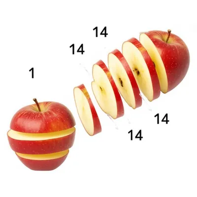 Illustration reciprocal