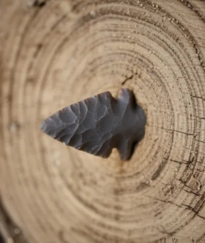 Illustration arrowheads - Image 1