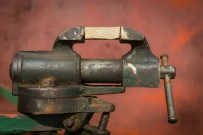 Illustration stiff - Image 1