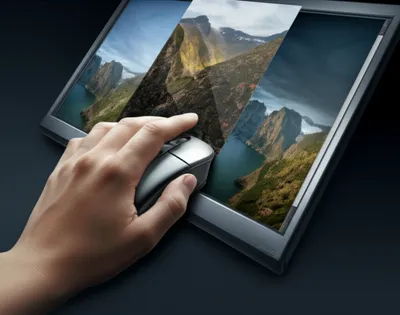 Illustration scrolls - Image 1