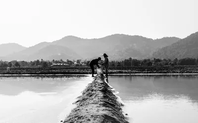 Illustration firmer - Image 2