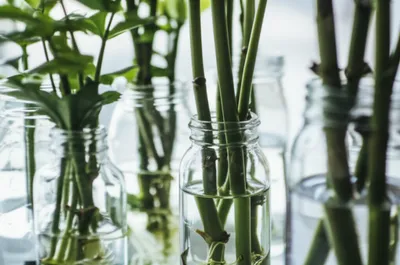 Illustration sticks - Image 1