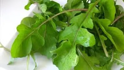 Illustration rocket - Image 2