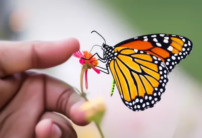 Illustration evoked - Image 1