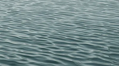 Illustration fret - Image 1