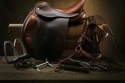 Illustration tacks - Image 1