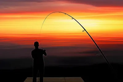 Illustration angled - Image 1