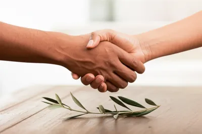 Illustration settlements - Image 1