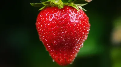 Illustration dripping - Image 1