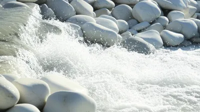 Illustration purified - Image 1