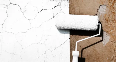 Illustration whitewash - Image 1