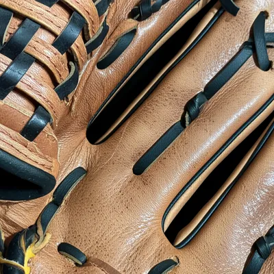 Illustration webbing - Image 1