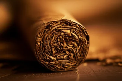 Illustration bunch - Image 1