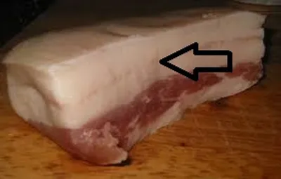 Illustration fat - Image 3