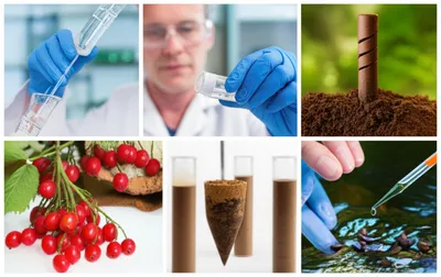 Illustration sampling