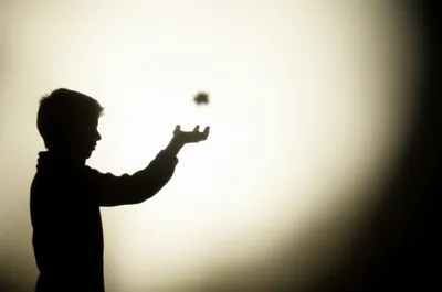 Illustration want - Image 1