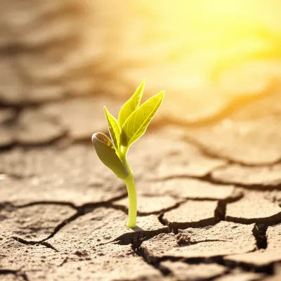 Illustration surviving