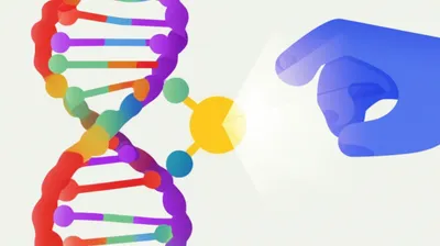 Illustration methylated - Image 1