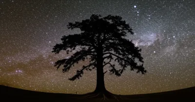 Illustration epic - Image 1