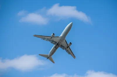 Illustration rolls - Image 1