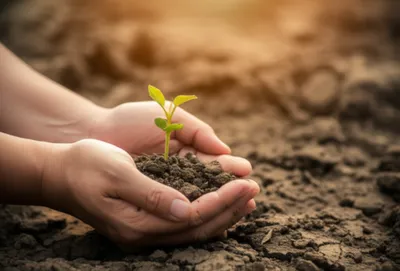 Illustration understanding - Image 1