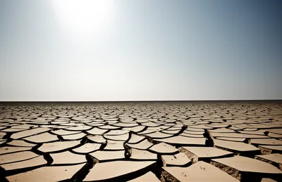 Illustration barer - Image 1