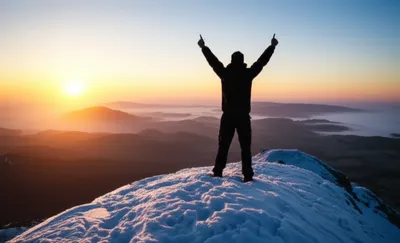 Illustration crests - Image 1