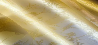 Illustration tissues - Image 1