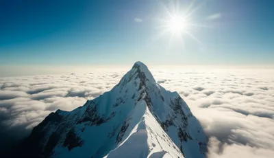 Illustration above - Image 1