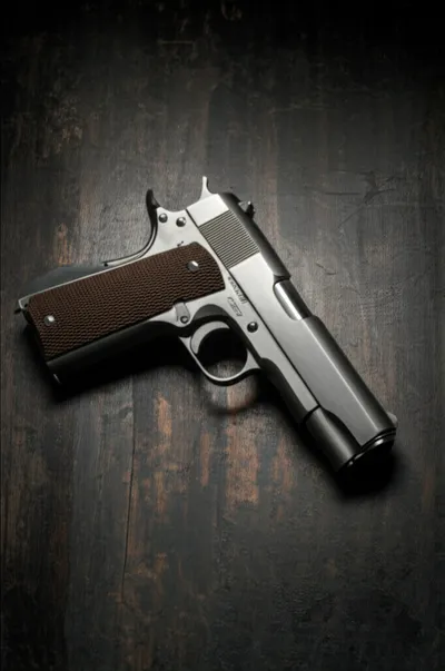 Hình ảnh minh họa gat - Ảnh 1