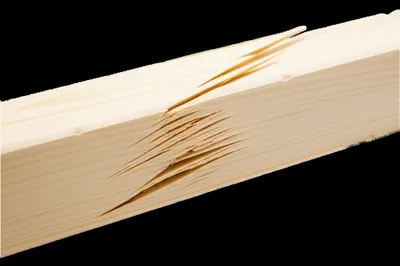 Illustration spring - Image 1