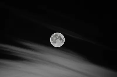 Illustration waned - Image 1