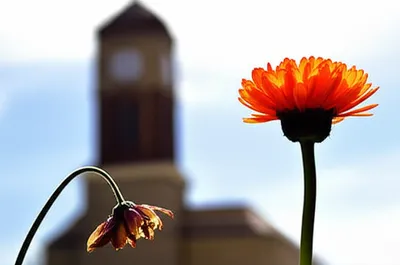 Illustration protract - Image 1