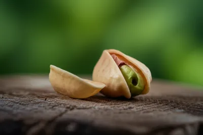 Illustration nuts - Image 1