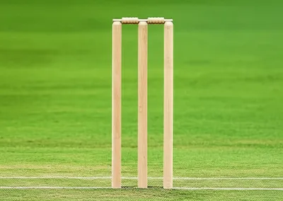 Illustration stump - Image 1