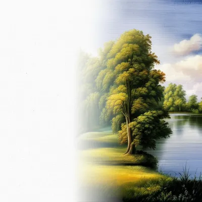 Illustration renderings