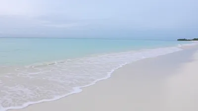 Illustration clears - Image 1