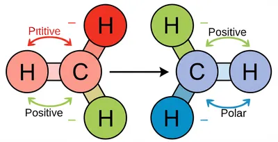 Illustration polar - Image 1