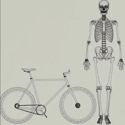 Illustration isomorphic - Image 1