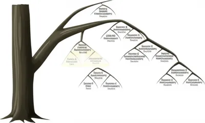 Illustration subsections - Image 1